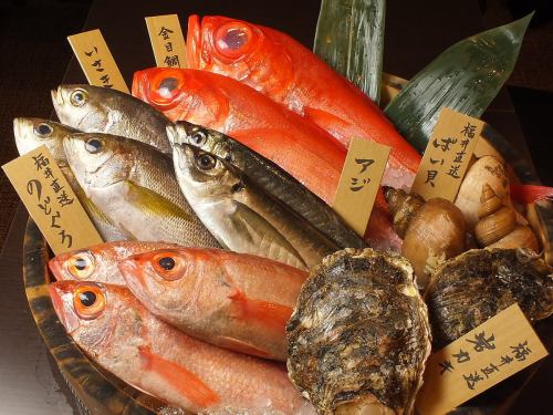 越前若狭から直送の鮮魚