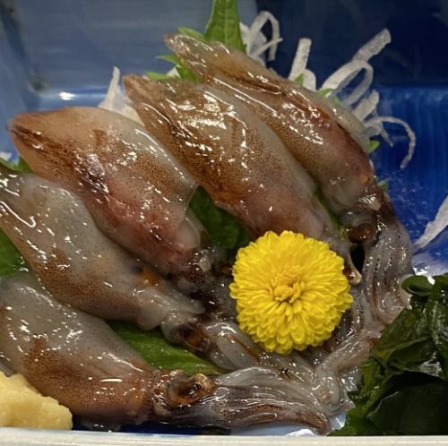 生ほたるいか