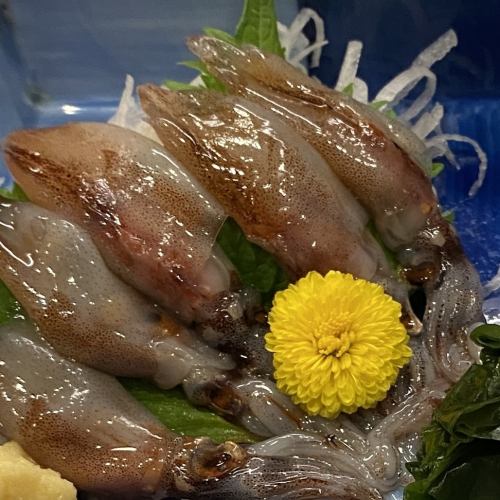 生ほたるいか