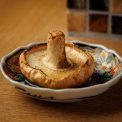 どんこ椎茸炭焼き