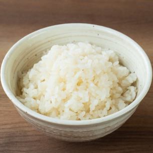 ご飯