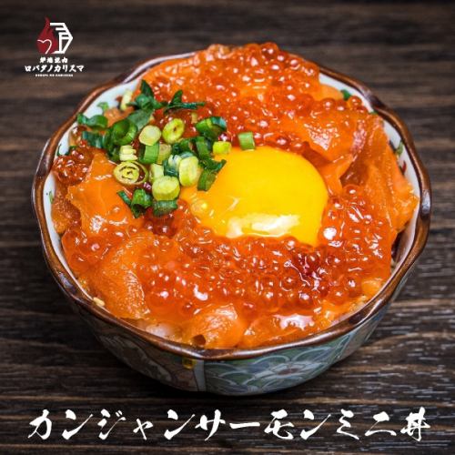 カンジャンサーモンミニ丼