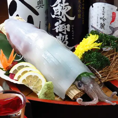 我们以合理的价格提供特色整只鱿鱼刺身。