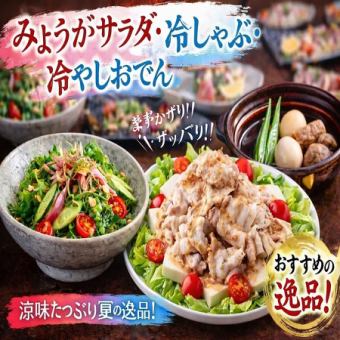 【夏限定】《風涼みの旬宴コース》 生ビール付き♪全9品3時間飲み放題付き4,500円