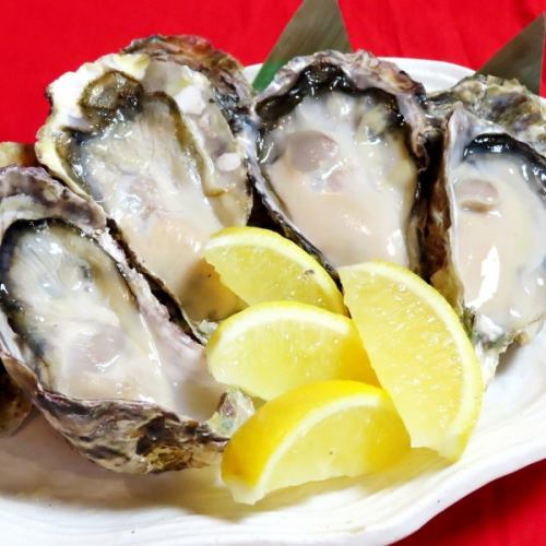 Amazing all-you-can-eat raw oysters!