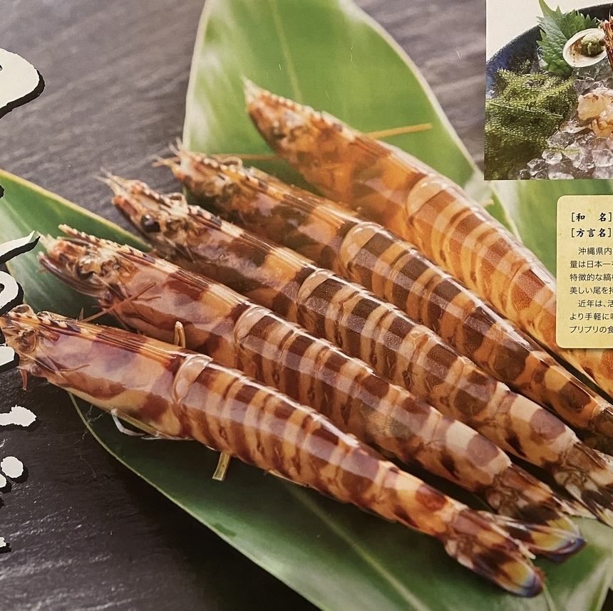 石垣島産!活車海老入荷!