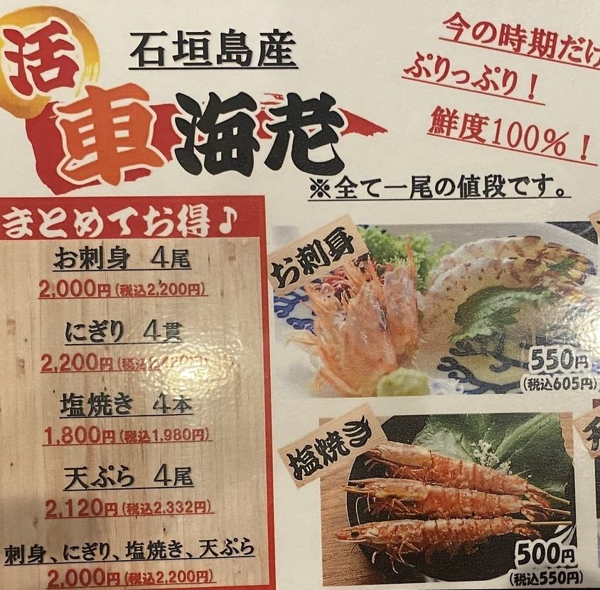 石垣島産！活車海老入荷！！