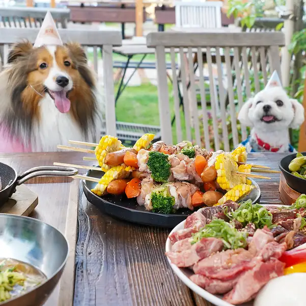大切な家族の一員であるワンちゃんOK！SUMI TERRACEでは、愛犬と一緒に本格的なお食事が楽しめます。広々とした開放的な空間で、お散歩帰りや休日のお出かけにもぴったり。ワンちゃん連れでも気兼ねなく、美味しいお肉やこだわりのお料理を囲んで、至福のひと時を過ごしませんか？