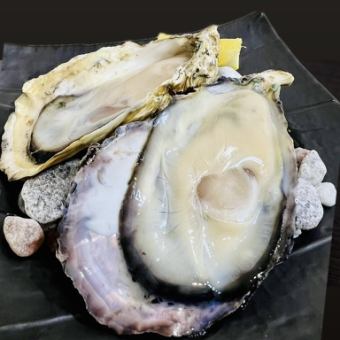 兵庫県 室津 生牡蛎 1つ