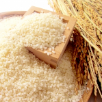 我们所有的大米都使用鱼沼的越光大米。