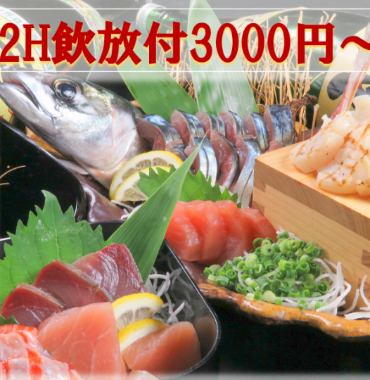 欢迎和欢送会！轻松4,000日元生鱼片拼盘昭和套餐现金付款折扣200日元