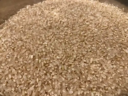🍚 今宵も、南魚沼産コシヒカリを精米して。
遊月亭では、今宵もお米を精米。
南魚沼産コシヒカリを炊き上げて、
そして今宵も……
松茸さんと一緒に、炊き込みます。🍄
炊き上がるころには、
店の中にも松茸の香りが広がります。
旬のものを、旬のうちに。
秋の味覚と日本酒を、
今宵もゆっくり楽しんでください🍶
松茸ご飯、ございます。
17:39-27:00
本日は、いつもより1時間はやいですが24時にお客様がいなかった場合、閉店しております
#和酒彩菜遊月亭
#神保町グルメ
#神保町居酒屋
#神保町日本酒
#南魚沼産コシヒカリ
#コシヒカリ
#松茸
#松茸ご飯
#秋の味覚
#日本酒