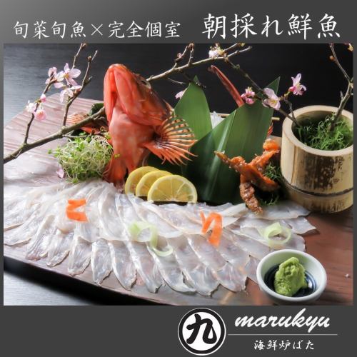 <Seasonal fish, seasonal vegetables x completely private room> Enjoy fresh fish purchased from fishermen! Relax in a safe and completely private room.