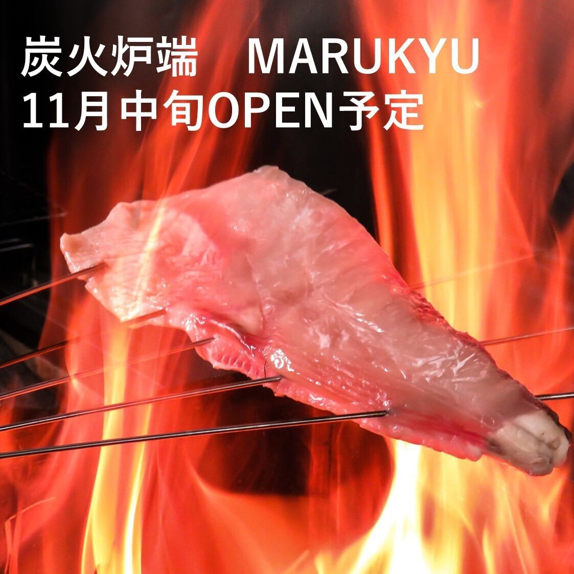 11월 중순 OPEN의 「노바타 이자카야 MARUKYU」 각종 씬에 추천입니다