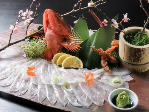 <제철 제철> 어부로부터 사는 신선한 생선을 만끽! 안심의 파고타츠로 천천히 편히 쉬십시오.