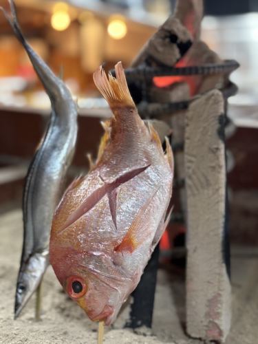 엄선된 신선한 소재