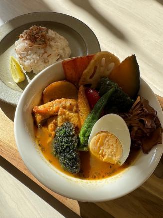 【平日限定】アリーズガーデンの農園風 スパイシー・スープカレー