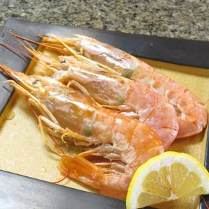 Red shrimp