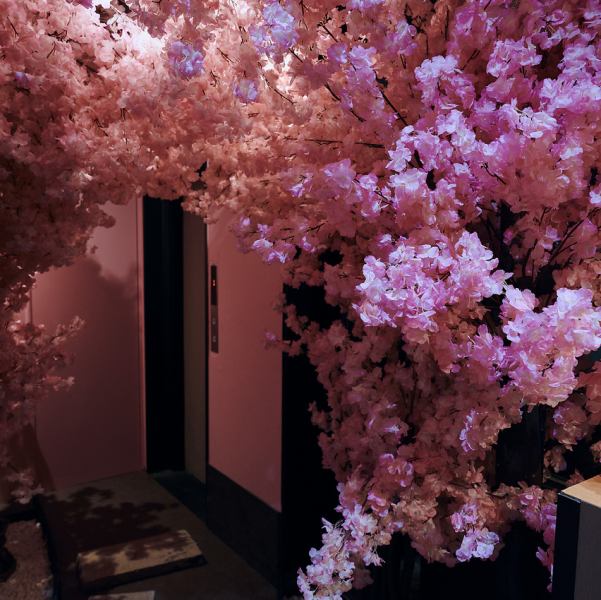 【半個室】プライベートな時間がお過ごしいただける半個室も完備。～8名様までご利用いただけるので、グループでのご来店でも周りを気にせず当店の料理をご堪能いただけます。