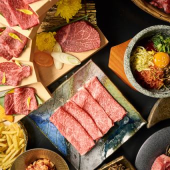 【特選焼肉コース】最高級シャトーブリアンや厳選和牛を堪能する《全9品/12,000円》