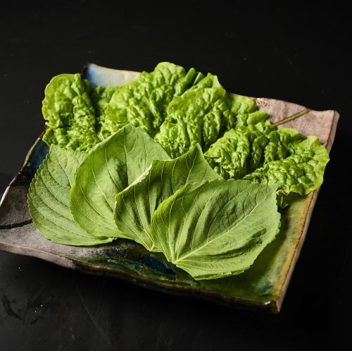 サンチュ、えごま