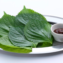 包み菜(えごまの葉 6枚)