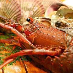 [Welcome and farewell party]《Special selection》Ise lobster, live abalone, Chateaubriand specialty 13,000 yen (tax included) *Food