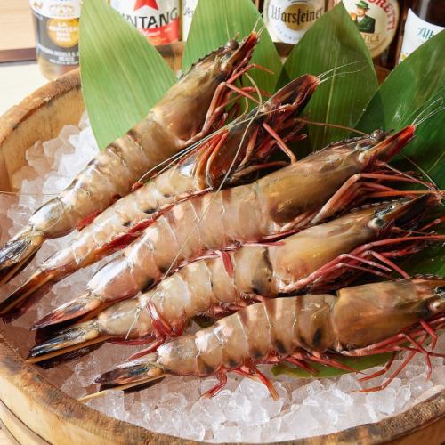Super large shrimp teppanyaki
