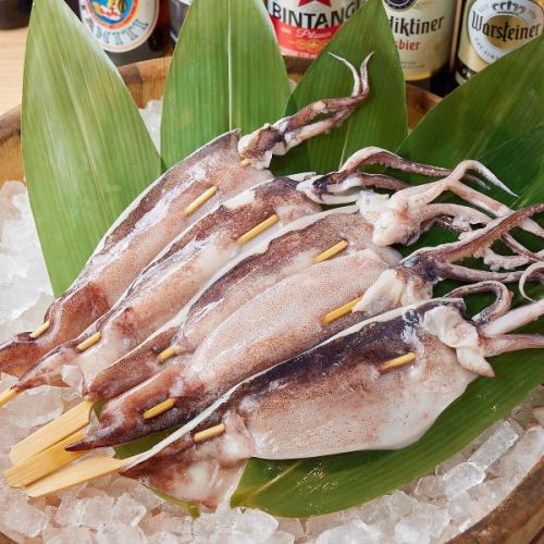 Surume squid teppanyaki