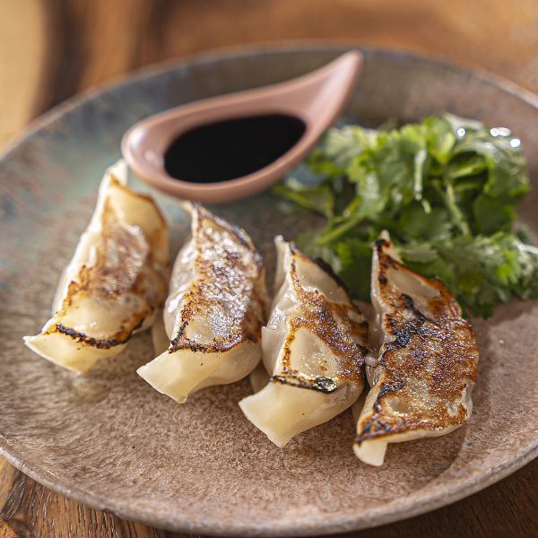 パクチー添えの餃子と季節で変わる特製春巻きなど、多彩な創作一品料理をご提供！