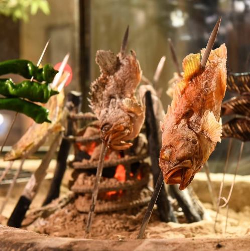 "First time" Maruhide.Experience Genshiyaki, the origin of grilled fish, grilled in a custom-made robatayaki oven