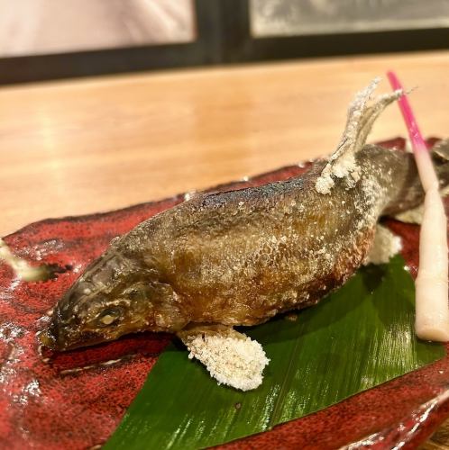 鮎塩焼き