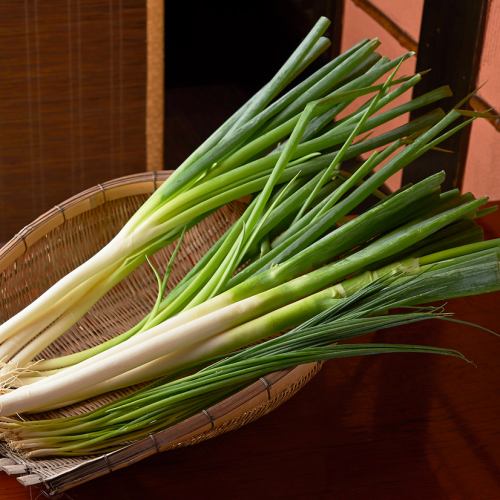 Uses "Samurai green onions" from Hiroshima Prefecture