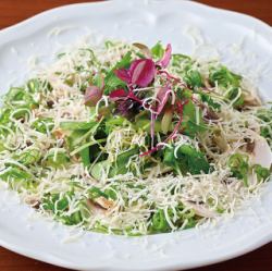 緑葉とマッシュルームのカルパッチョ