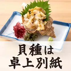 本日入荷 貝単品