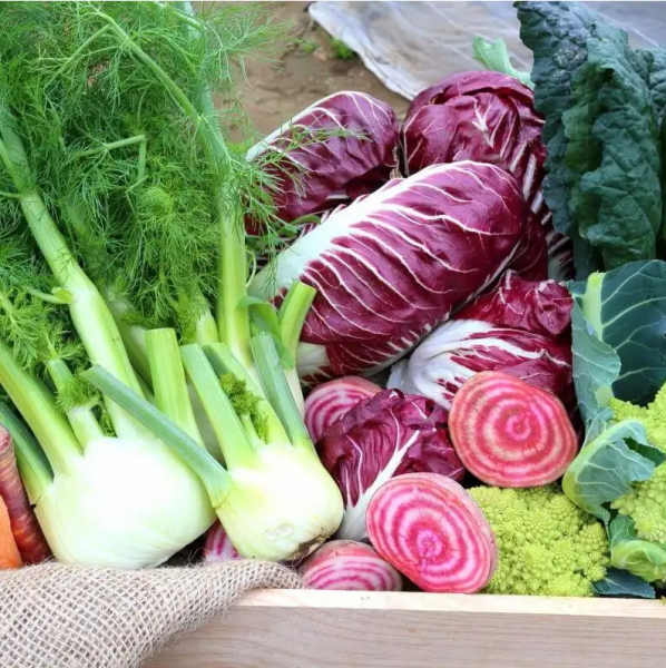 【産地直送野菜】さいたま産ヨーロッパ野菜を食卓に！