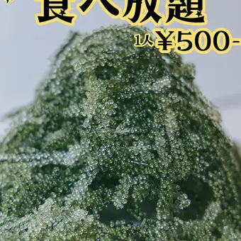 期間限定【海ぶどう食べ放題コース】SNS限定コース※ご予約は電話orインスタから