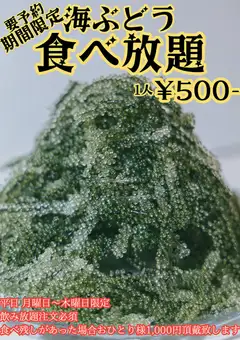 期間限定【海ぶどう食べ放題コース】SNS限定コース※ご予約は電話orインスタから