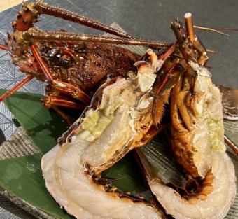 単品　伊勢海老　1尾　来店２日前までの予約