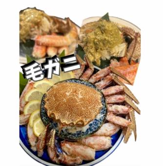 単品　毛ガニ　1尾　来店２日前までの予約