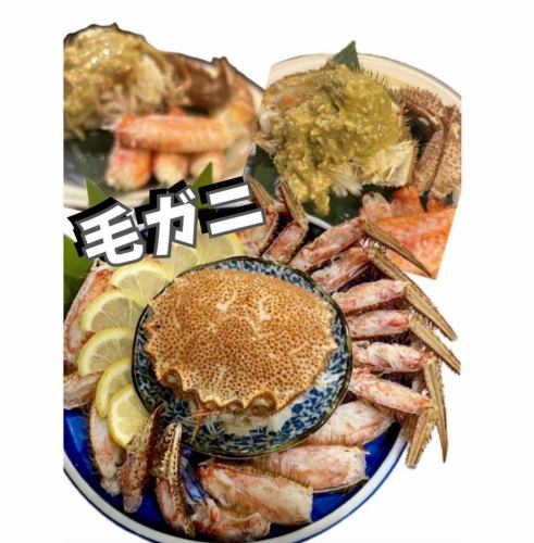 単品　毛ガニ　1尾　来店２日前までの予約