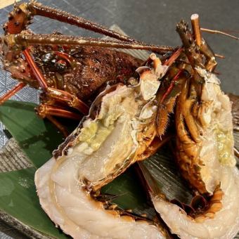 豪快！網焼きイセエビ1尾。（上質な旨みと香ばしさを堪能、特別な日やお祝いの席に…）
