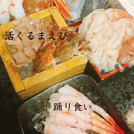 Live Kuruma shrimp dancing and eating!!