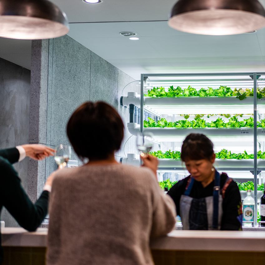 武蔵新城で今一番注目されている店内水耕栽培のお店です♪