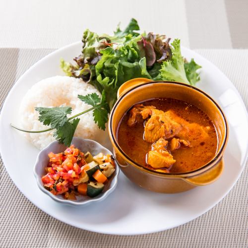spice curry plate