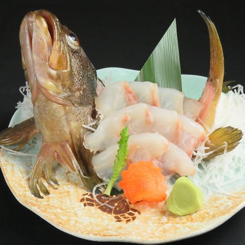 Live-killed soi sashimi