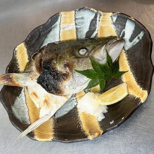 【완전 수량 한정】부리노카마야키(편신)
