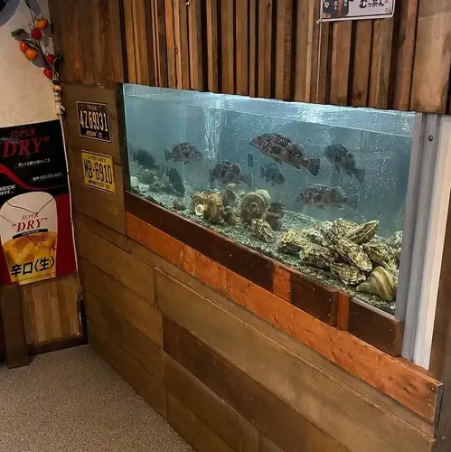 店内生け簀で管理