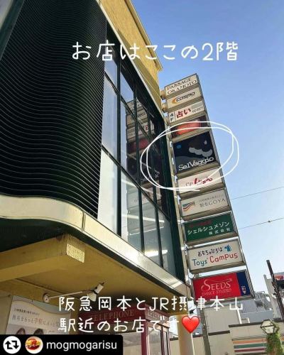 ご来店、ご紹介ありがとうございます✨

#リポスト - @mogmogarisu 
SelVaggio Forno(石窯)Dining×Bar
@selvaggio6655 

〒658-0072
兵庫県神戸市東灘区岡本1-3-17 
パッセージ岡本 2F
078-452-1817

営業時間	【月～木・日・祝】
17:00～翌3:00

【金・土・祝前日】
17:00～翌5:00

～22:00 ディナータイム（禁煙）
22:00～ バータイム（喫煙可）

※全フードメニューは24:00まで提供

定休日	年中無休

JR神戸線 摂津本山駅 徒歩3分
阪急神戸線 岡本駅 徒歩3分

クレジットカード利用	カード可
（JCB、AMEX、Diners、VISA、Master）
電子マネー可

#SelVaggioForno #摂津本山駅 #摂津本山ご飯 #摂津本山イタリアン #岡本駅 #岡本駅周辺 #神戸イタリアンディナー
#神戸グルメ#釜焼きピッツァ #釜焼きグルメ#バー
#お酒が楽しめる