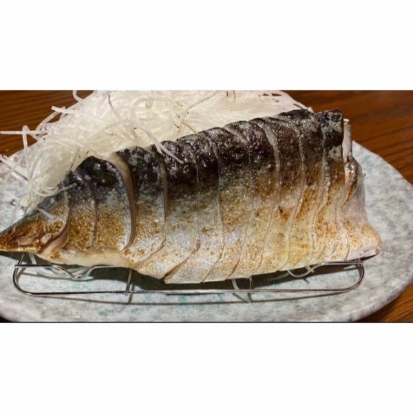 炙りしめ鯖